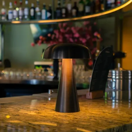帕拉姆酒店 酒店 法尔肯堡